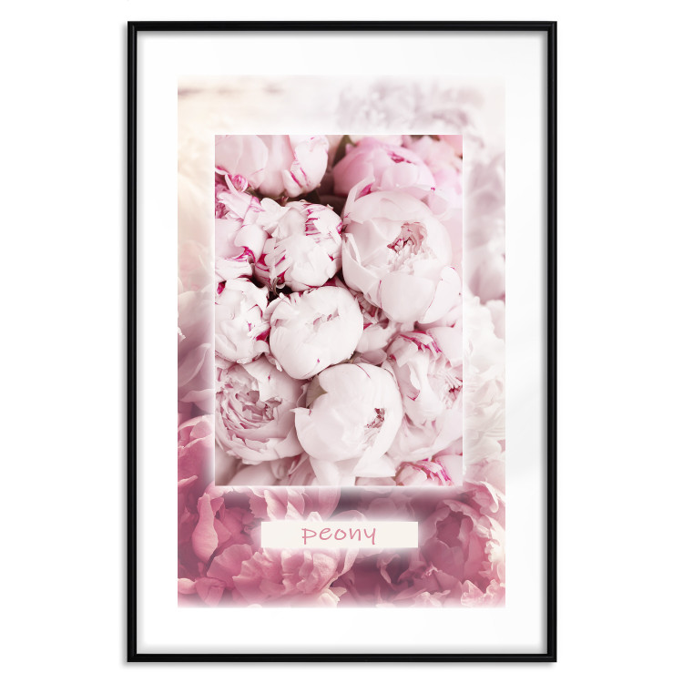 Poster Spring Delicacy - light pink flowers and English text 126194 additionalImage 17
