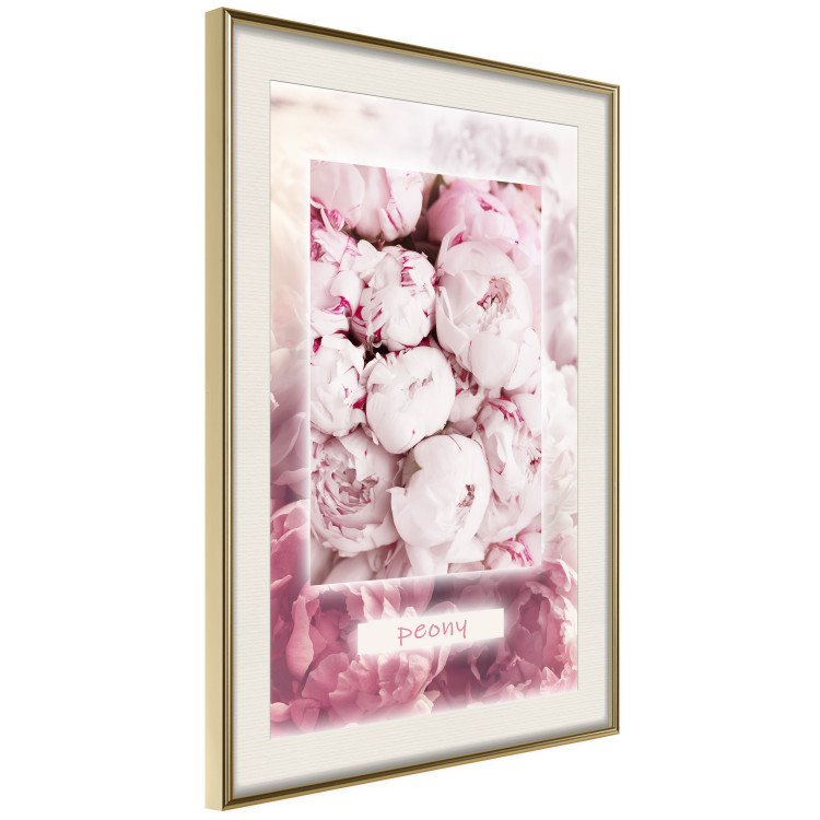 Poster Spring Delicacy - light pink flowers and English text 126194 additionalImage 2