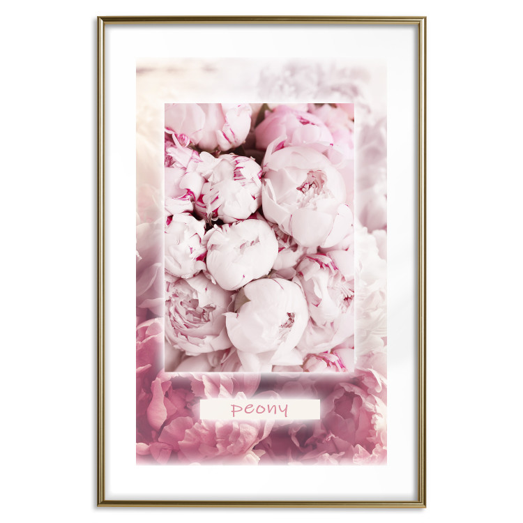 Poster Spring Delicacy - light pink flowers and English text 126194 additionalImage 14