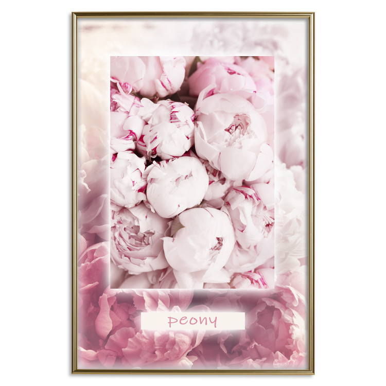 Poster Spring Delicacy - light pink flowers and English text 126194 additionalImage 20