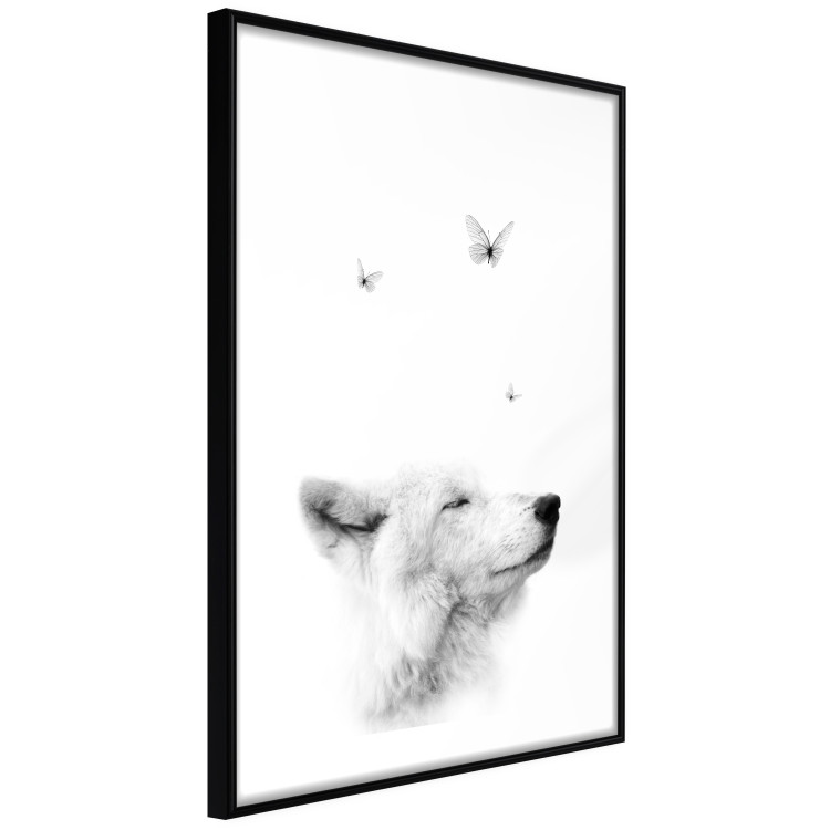 Poster Gentle Dream - wild dog and butterflies on a white contrasting background 126294 additionalImage 6