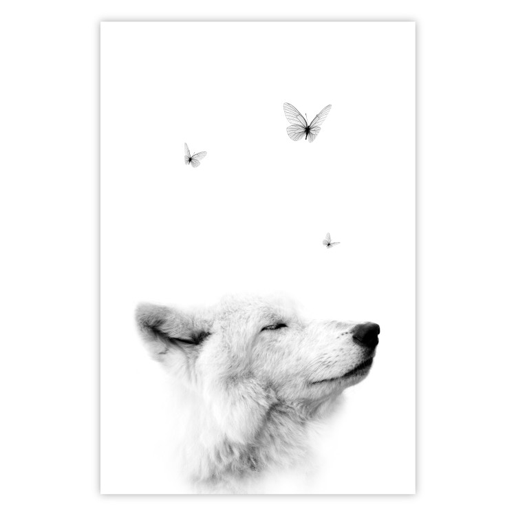 Poster Gentle Dream - wild dog and butterflies on a white contrasting background 126294