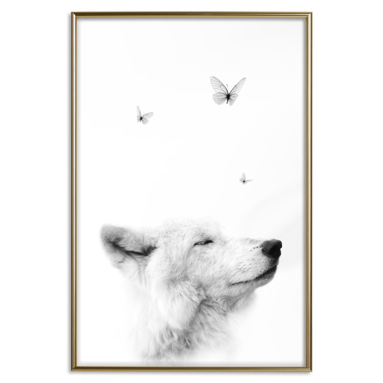 Poster Gentle Dream - wild dog and butterflies on a white contrasting background 126294 additionalImage 17