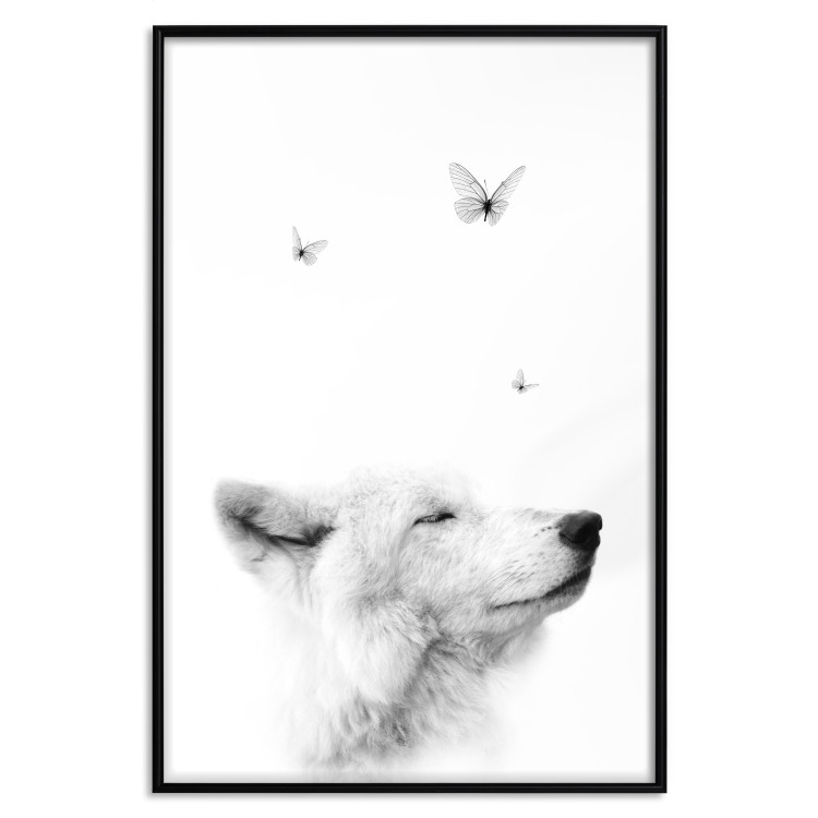 Poster Gentle Dream - wild dog and butterflies on a white contrasting background 126294 additionalImage 16