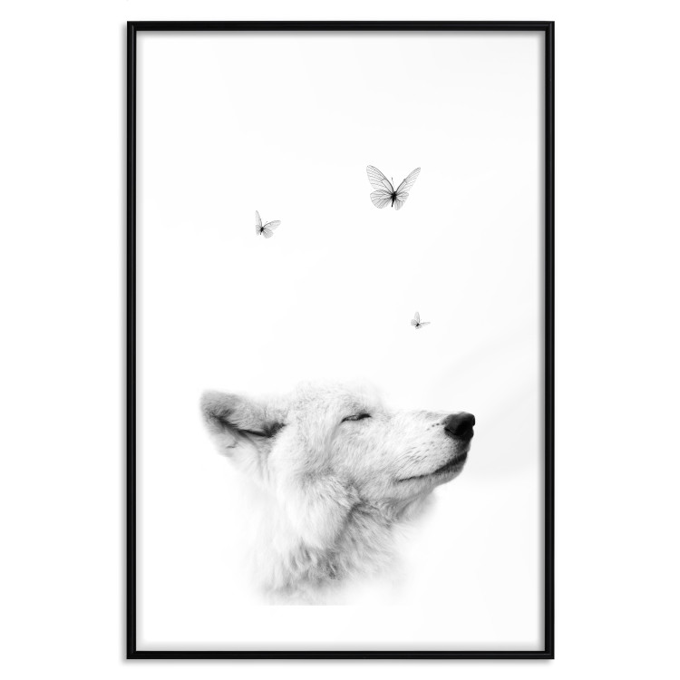 Poster Gentle Dream - wild dog and butterflies on a white contrasting background 126294 additionalImage 15