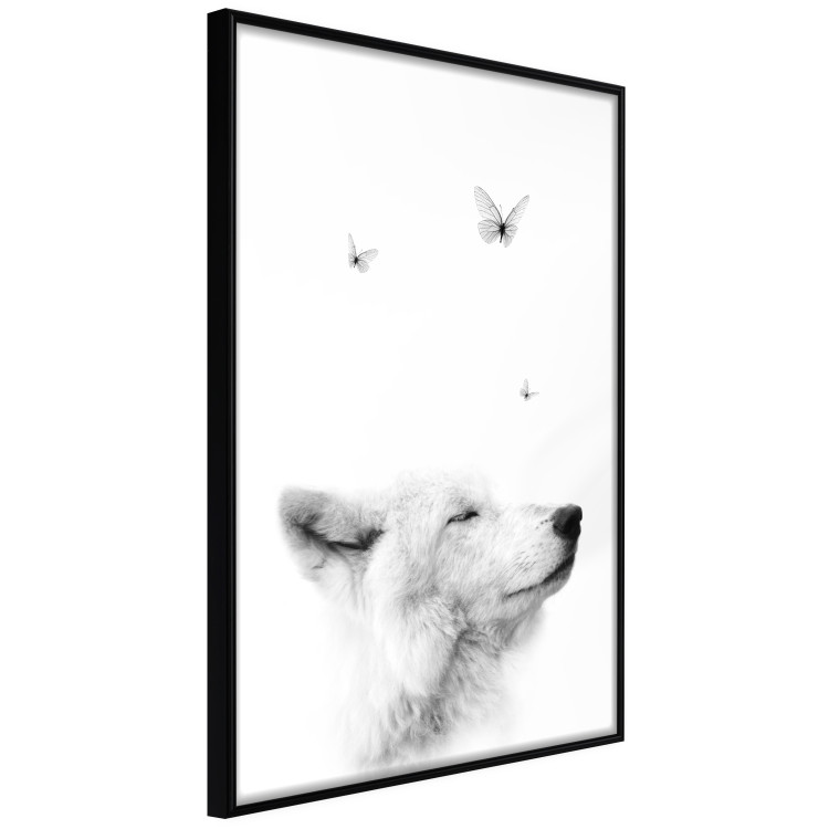 Poster Gentle Dream - wild dog and butterflies on a white contrasting background 126294 additionalImage 11