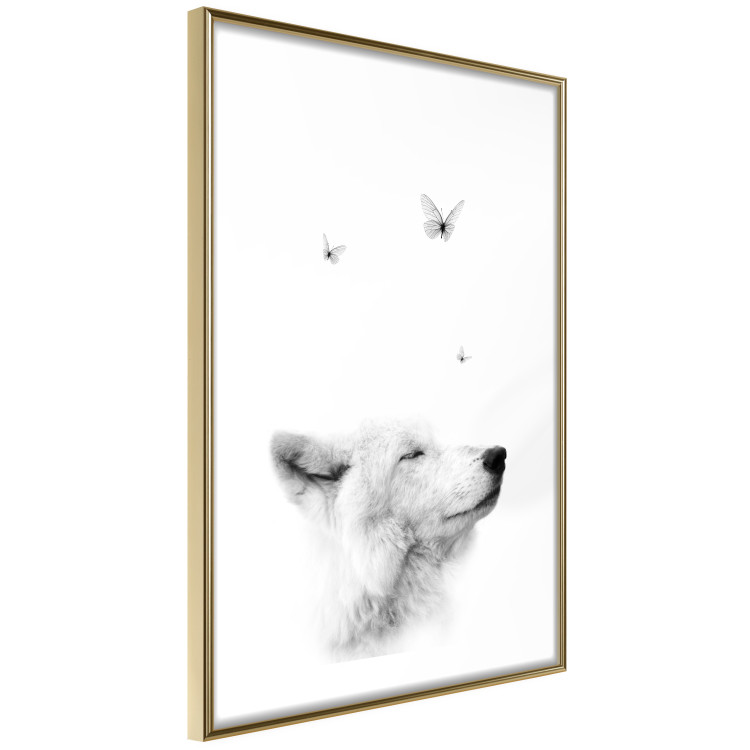 Poster Gentle Dream - wild dog and butterflies on a white contrasting background 126294 additionalImage 7