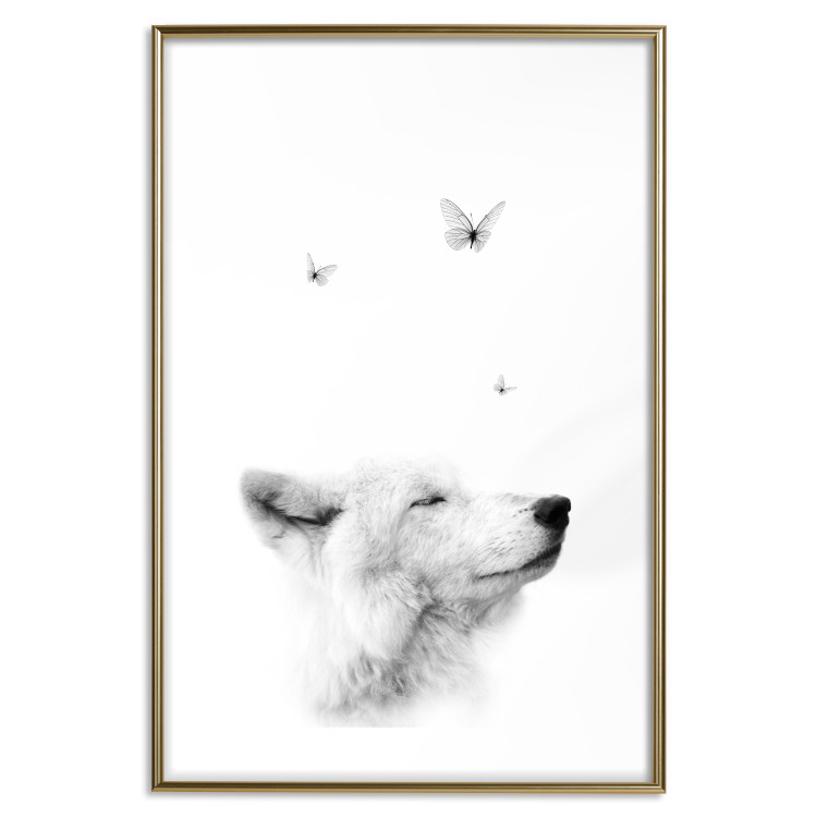 Poster Gentle Dream - wild dog and butterflies on a white contrasting background 126294 additionalImage 14