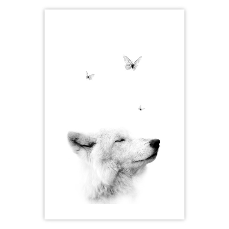 Poster Gentle Dream - wild dog and butterflies on a white contrasting background 126294 additionalImage 19