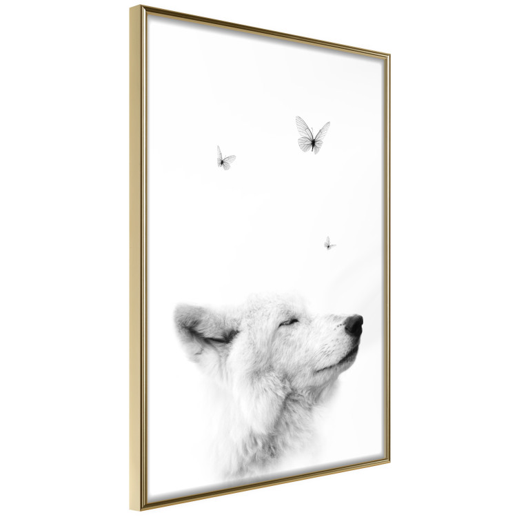 Poster Gentle Dream - wild dog and butterflies on a white contrasting background 126294 additionalImage 12