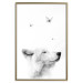 Poster Gentle Dream - wild dog and butterflies on a white contrasting background 126294 additionalThumb 17