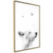 Poster Gentle Dream - wild dog and butterflies on a white contrasting background 126294 additionalThumb 12
