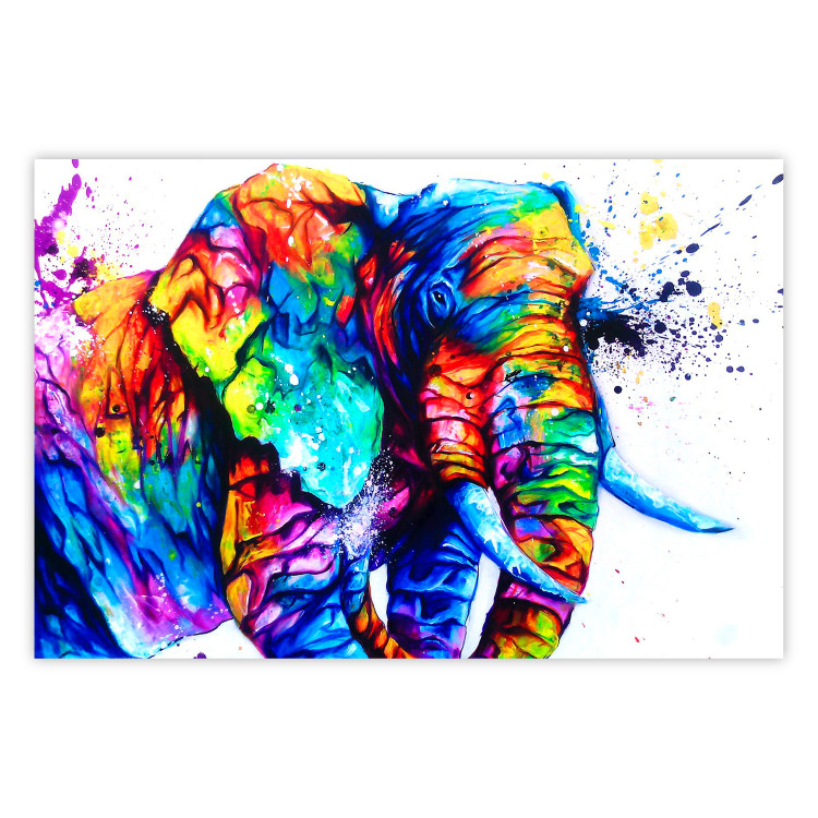 Poster Friendly Elephant - abstract multicolored animal on a white background 127094