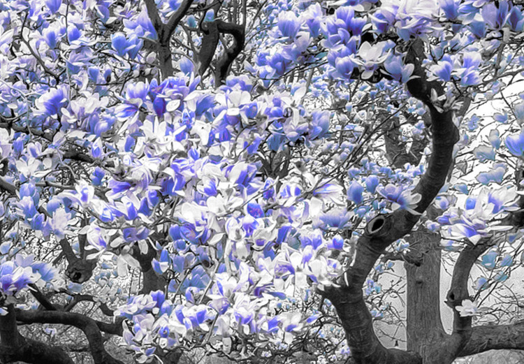 Canvas Print Blooming Magnolias - triptych with magnolia trees and violet flowers 128794 additionalImage 4