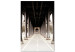 Canvas Print Bridge on Seine - sepia photograph of Paris architecture 132294