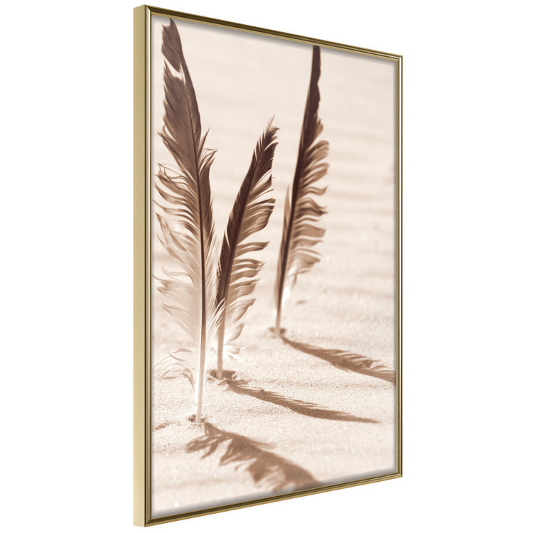 Wall Poster Shady Feathers - marine composition of feathers in sand in sepia colors 135294 additionalImage 8