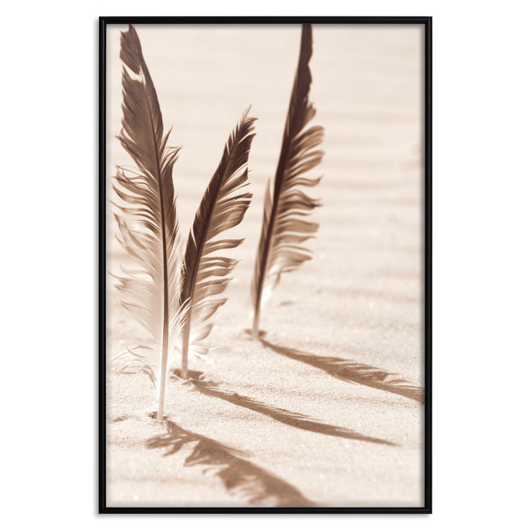Wall Poster Shady Feathers - marine composition of feathers in sand in sepia colors 135294 additionalImage 17