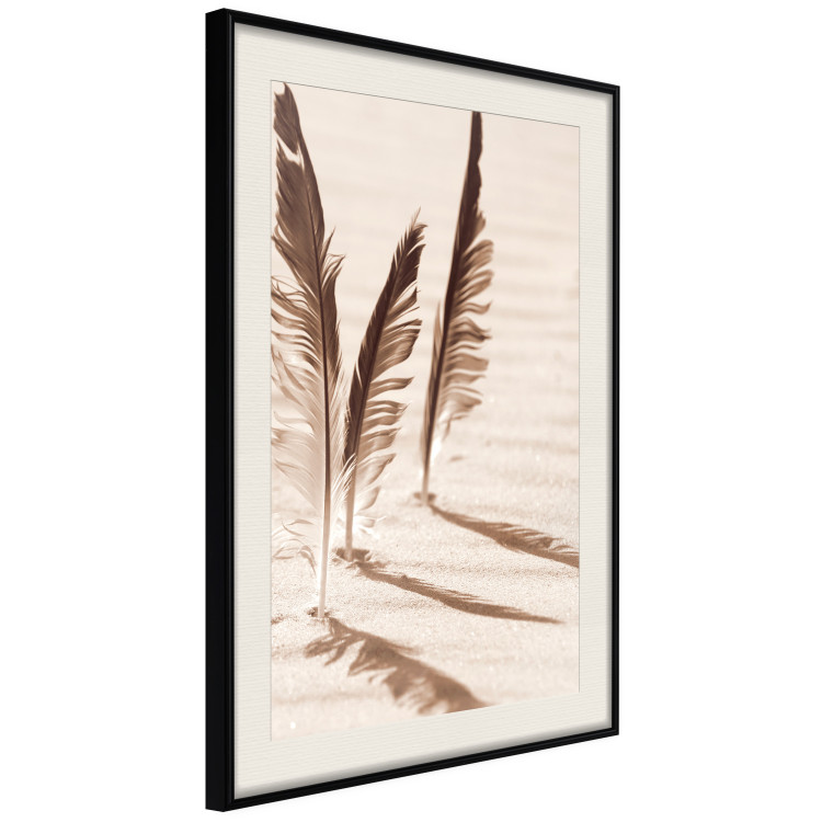 Wall Poster Shady Feathers - marine composition of feathers in sand in sepia colors 135294 additionalImage 4