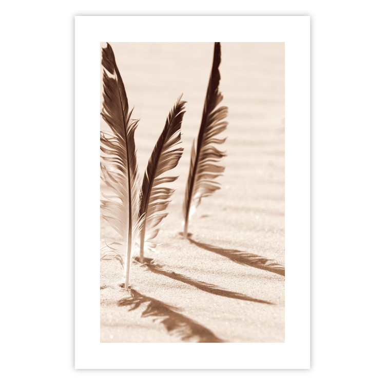 Wall Poster Shady Feathers - marine composition of feathers in sand in sepia colors 135294 additionalImage 14