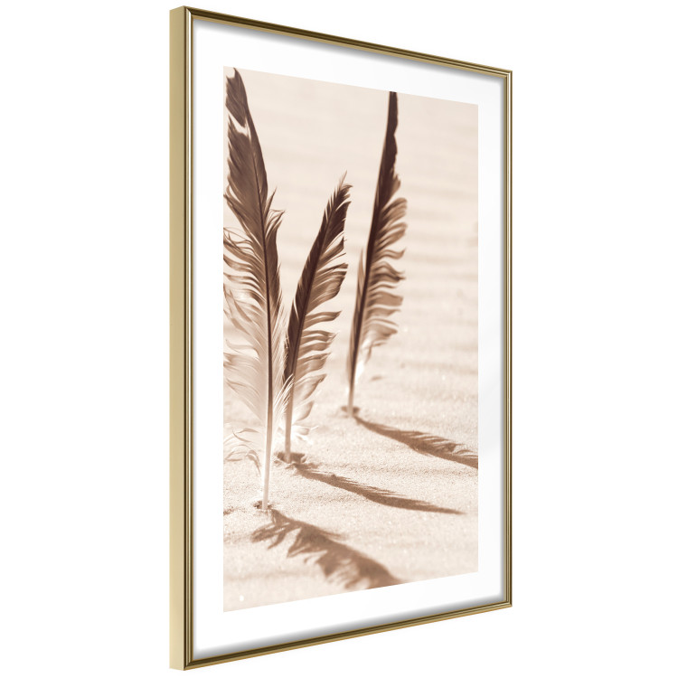 Wall Poster Shady Feathers - marine composition of feathers in sand in sepia colors 135294 additionalImage 5
