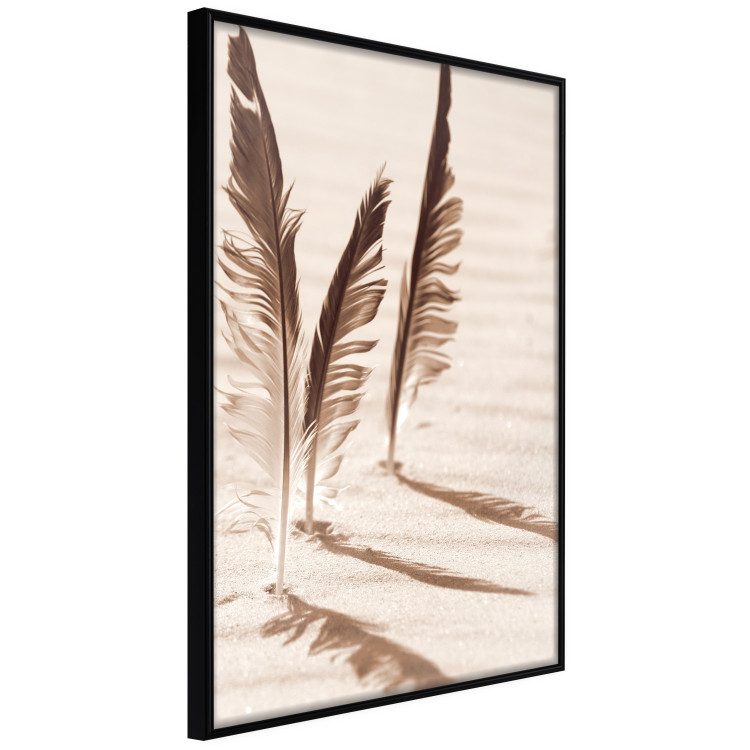 Wall Poster Shady Feathers - marine composition of feathers in sand in sepia colors 135294 additionalImage 7