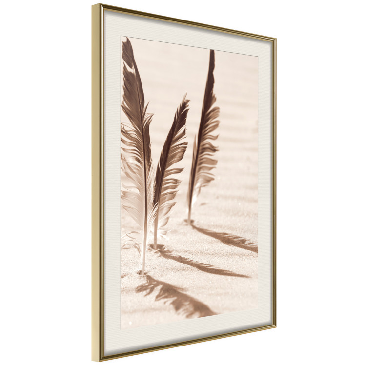 Wall Poster Shady Feathers - marine composition of feathers in sand in sepia colors 135294 additionalImage 3