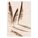 Wall Poster Shady Feathers - marine composition of feathers in sand in sepia colors 135294