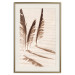 Wall Poster Shady Feathers - marine composition of feathers in sand in sepia colors 135294 additionalThumb 12