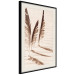 Wall Poster Shady Feathers - marine composition of feathers in sand in sepia colors 135294 additionalThumb 4