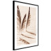 Wall Poster Shady Feathers - marine composition of feathers in sand in sepia colors 135294 additionalThumb 4