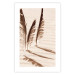 Wall Poster Shady Feathers - marine composition of feathers in sand in sepia colors 135294 additionalThumb 18