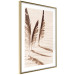 Wall Poster Shady Feathers - marine composition of feathers in sand in sepia colors 135294 additionalThumb 5