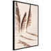 Wall Poster Shady Feathers - marine composition of feathers in sand in sepia colors 135294 additionalThumb 7