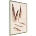 Wall Poster Shady Feathers - marine composition of feathers in sand in sepia colors 135294 additionalThumb 3