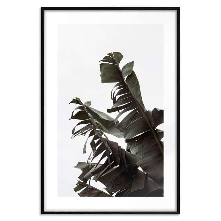 Poster Tropical Bouquet - natural composition of green leaves on a white background 135594 additionalImage 10