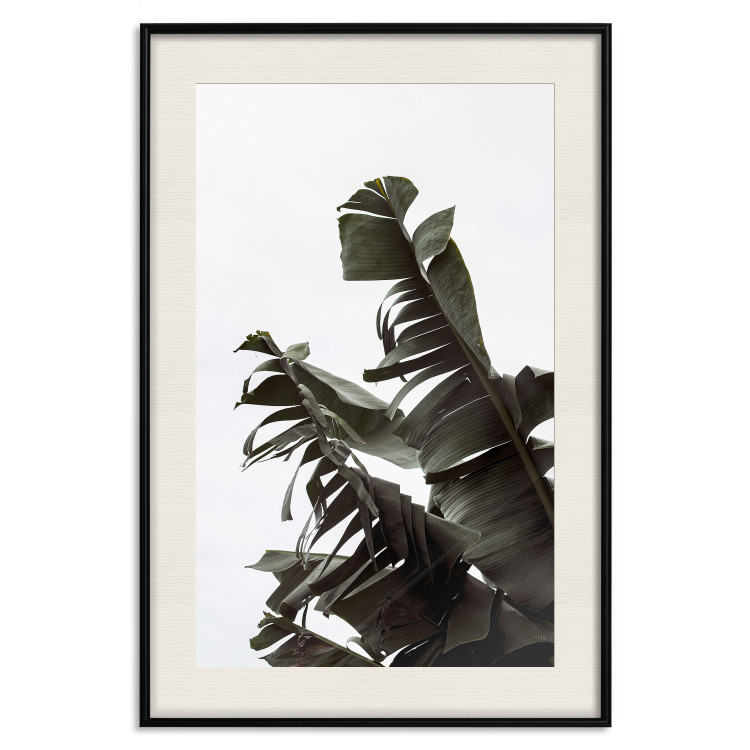 Poster Tropical Bouquet - natural composition of green leaves on a white background 135594 additionalImage 9