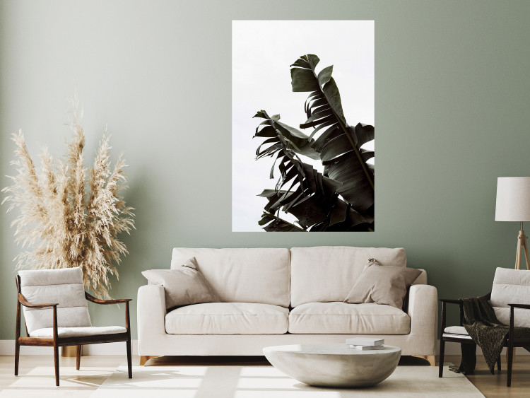 Poster Tropical Bouquet - natural composition of green leaves on a white background 135594 additionalImage 23