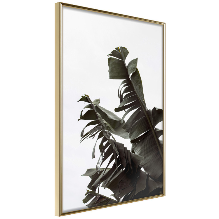 Poster Tropical Bouquet - natural composition of green leaves on a white background 135594 additionalImage 3