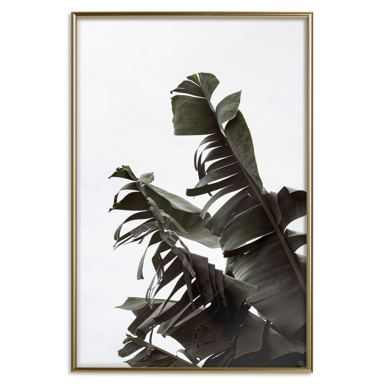 Poster Tropical Bouquet - natural composition of green leaves on a white background 135594 additionalImage 10
