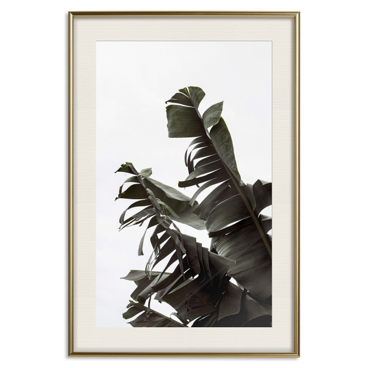 Poster Tropical Bouquet - natural composition of green leaves on a white background 135594 additionalImage 8