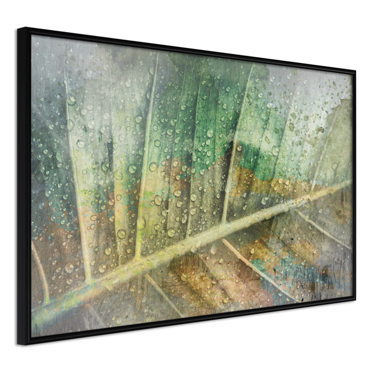 Poster Colorfulness - green composition with a leaf and small raindrops 135794 additionalImage 5