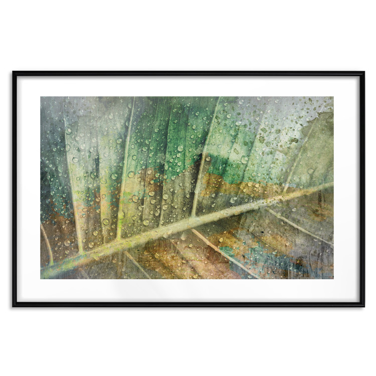 Poster Colorfulness - green composition with a leaf and small raindrops 135794 additionalImage 25