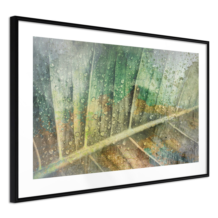 Poster Colorfulness - green composition with a leaf and small raindrops 135794 additionalImage 7