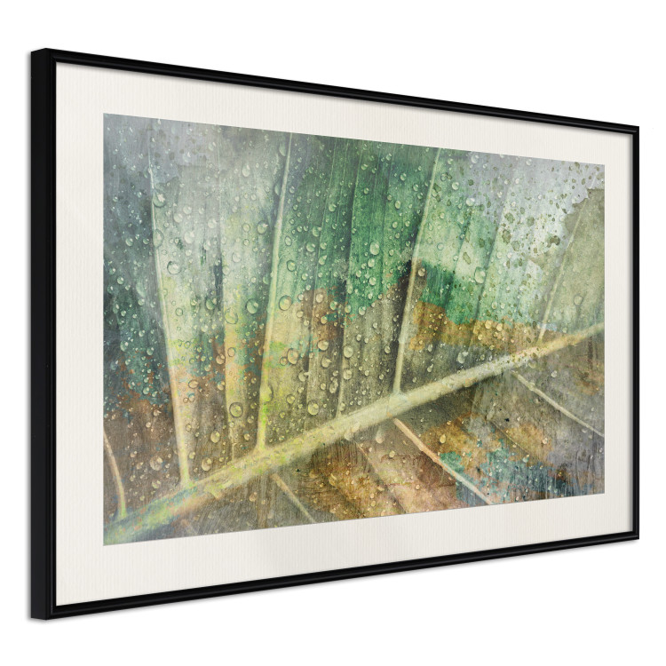 Poster Colorfulness - green composition with a leaf and small raindrops 135794 additionalImage 9