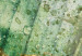Poster Colorfulness - green composition with a leaf and small raindrops 135794 additionalThumb 2