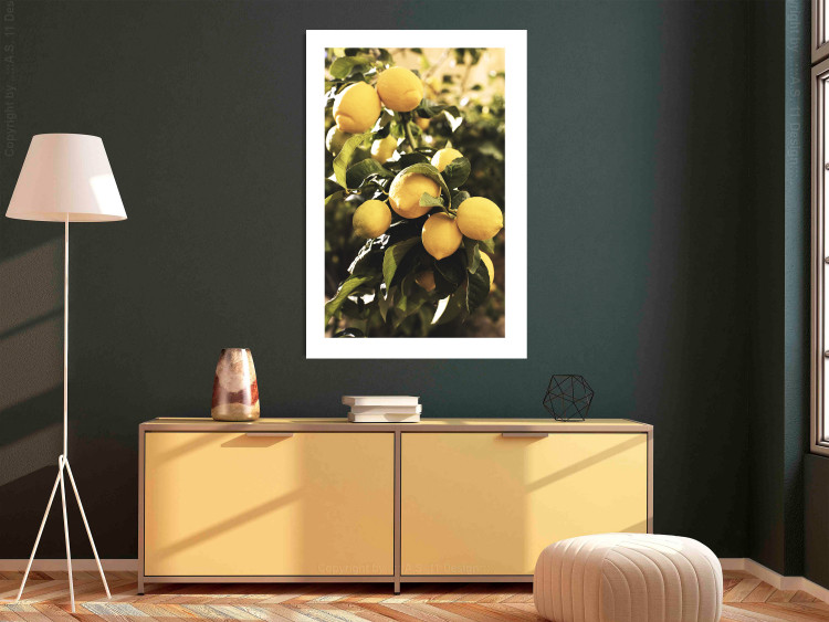 Wall Poster Italian Citrus - composition with yellow lemons against green plants 135894 additionalImage 12