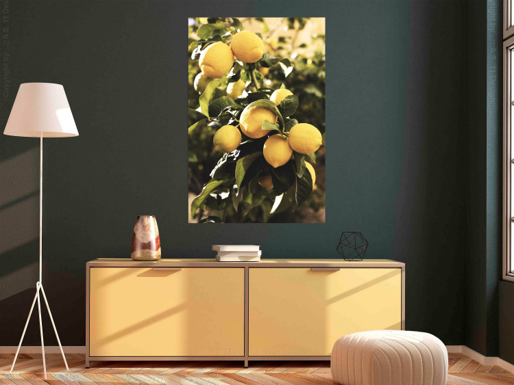Wall Poster Italian Citrus - composition with yellow lemons against green plants 135894 additionalImage 16