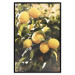 Wall Poster Italian Citrus - composition with yellow lemons against green plants 135894 additionalThumb 8