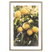 Wall Poster Italian Citrus - composition with yellow lemons against green plants 135894 additionalThumb 2