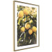 Wall Poster Italian Citrus - composition with yellow lemons against green plants 135894 additionalThumb 13